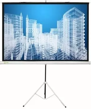 Экран Cactus 104.4x186см Triscreen CS-PST-104x186 1:1 напольный рулонный белый