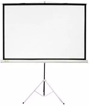 Экран Cactus 180x180см Triscreen CS-PST-180x180 1:1 напольный рулонный белый