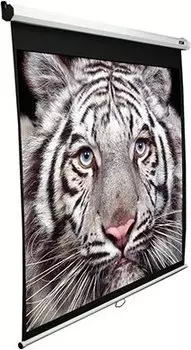 Экран Elite Screens Manual M100NWV1