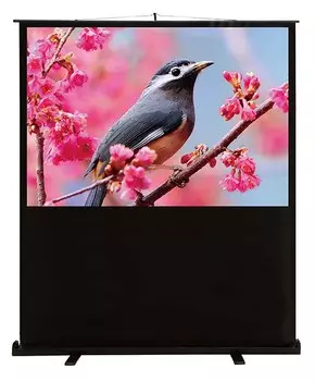 Экран напольный рулонный Cactus Floor Compact Expert (CS-PSFLCE-120X90) 4:3 90x120 см