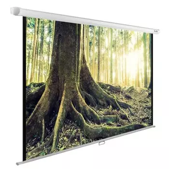 Экран настенно-потолочный рулонный Cactus Wall Expert (CS-PSWE-220x220-WT) 1:1 220x220 см