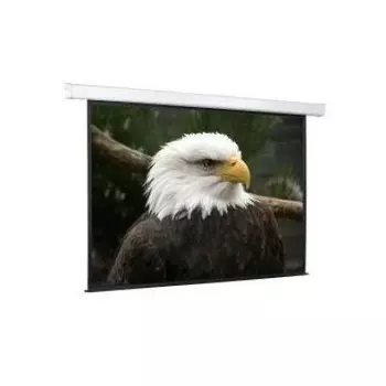 Экран ScreenMedia Champion SCM-4305