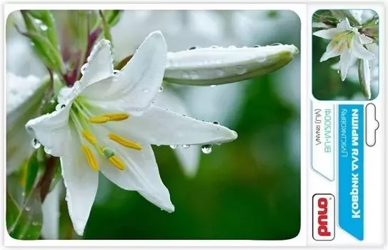 Коврик для мыши Buro BU-M20041