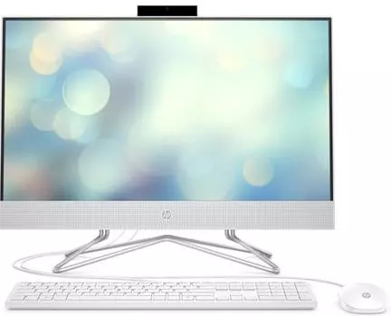 Моноблок HP 24-df0022ur (14P93EA) белый