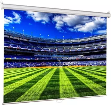 Настенный экран Lumien Eco Picture 200х200 см