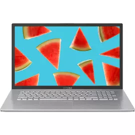 Ноутбук Asus VivoBook 17 D712DA-AU309T (90NB0PI1-M04960) серебристый
