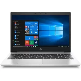 Ноутбук HP ProBook 445 G7 (1F3L0EA) серебристый