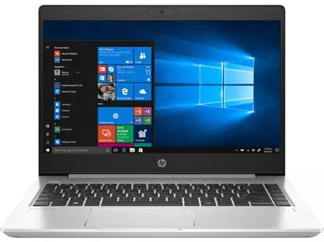 Ноутбук HP ProBook 455 G7 (214C7ES) серебристый