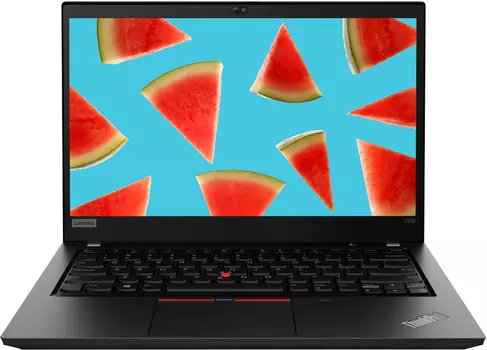 Ноутбук Lenovo ThinkPad T495 (20NJ000VRT) черный