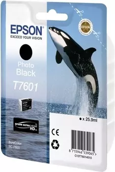 Струйный картридж Epson T7601 Photo Black (C13T76014010)