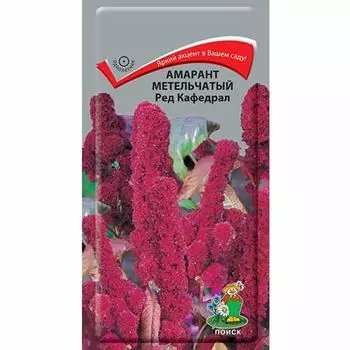 Амарант Ред Кафедрал Поиск