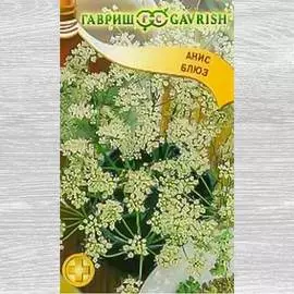 Анис Блюз