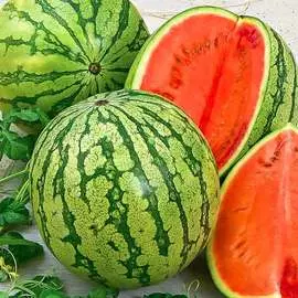 Арбуз Астраханский