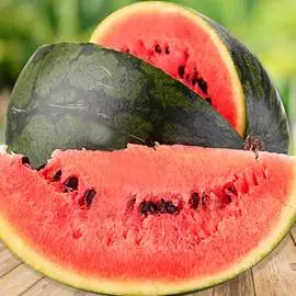 Арбуз Богатырский