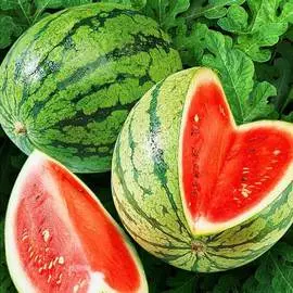 Арбуз Большая пекинская радость F1