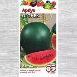 Арбуз Огонек