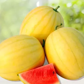 Арбуз Желтое чудо F1