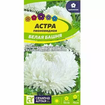 Астра Белая башня Семена Алтая
