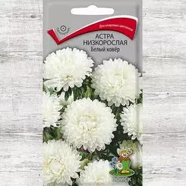 Астра Белый ковер