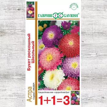 Астра Букет школьный, смесь окрасок Гавриш