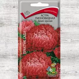 Астра Дюшес красная