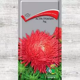 Астра гремлин Ред