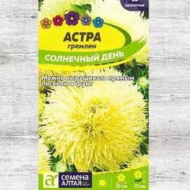 Астра гремлин Солнечный день