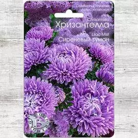 Астра Хризантелла Сиреневый туман