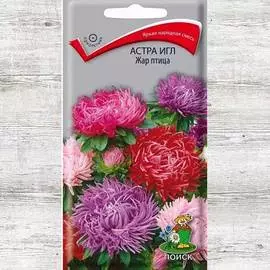 Астра игл Жар-птица, смесь окрасок