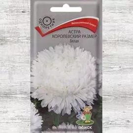 Астра Королевский размер белая