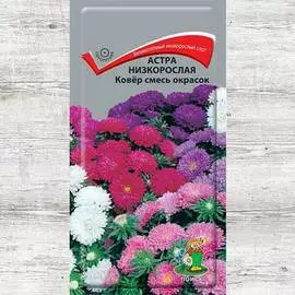 Астра Ковер, смесь окрасок