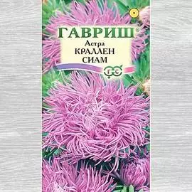 Астра Краллен Сиам