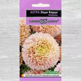 Астра Леди Корал бежевая