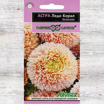 Астра Леди Корал бежевая Гавриш