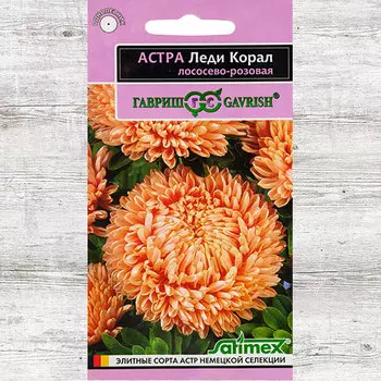 Астра Леди Корал лососево-розовая Гавриш