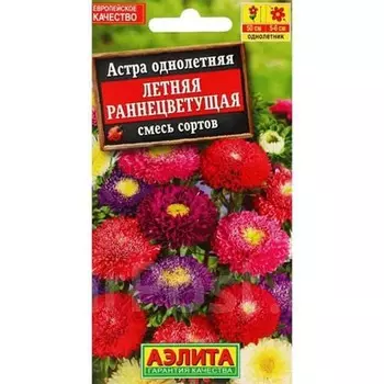 Астра Летняя раннецветущая, смесь сортов Аэлита