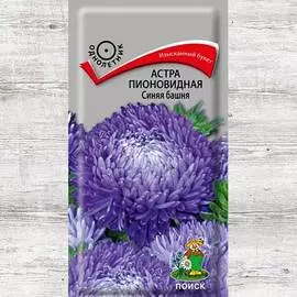 Астра Синяя башня