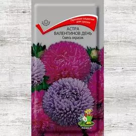 Астра Валентинов день, смесь окрасок