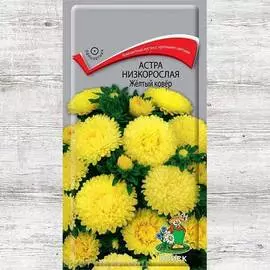 Астра Желтый ковер