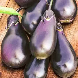 Баклажан Блэк Дракон
