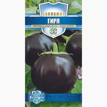Баклажан Гиря Гавриш