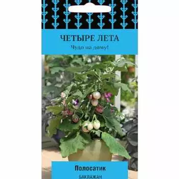 Баклажан Полосатик Поиск