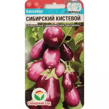Баклажан Сибирский кистевой Сибирский сад
