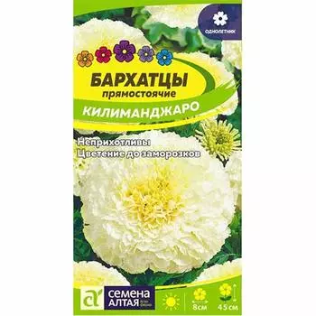 Бархатцы Килиманджаро Семена Алтая
