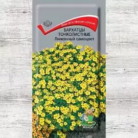 Бархатцы Лимонный самоцвет