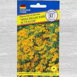 Бархатцы Мексиканский эстрагон