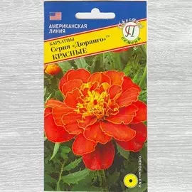 Бархатцы Дюранго красные