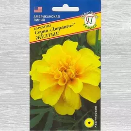 Бархатцы Дюранго жёлтые