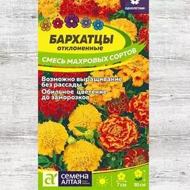 Бархатцы Отклоненные, смесь окрасок