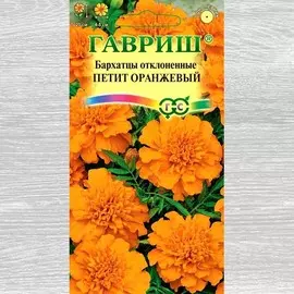 Бархатцы Петит оранжевый